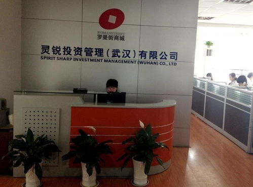 靈銳投資管理 立足武漢，深耕區域經濟的資本力量