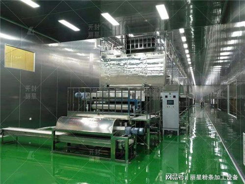 粉條粉絲廠辦廠投資指南 流程、預算關(guān)鍵及盈利管控解析